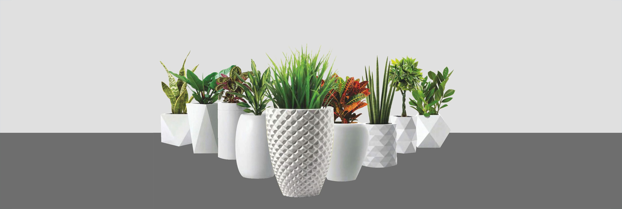 7 Benefits of Using Fibreglass Planters
